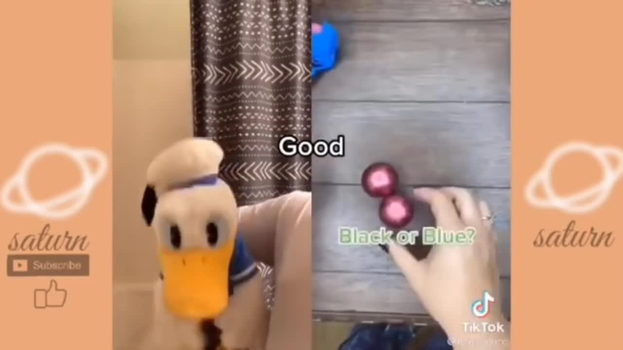 Donald Duck On Tik Tok