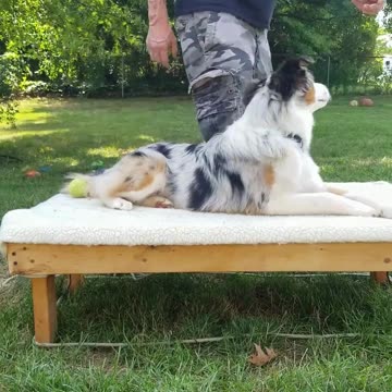 It's all in the game of Fetch part 2 clip 3