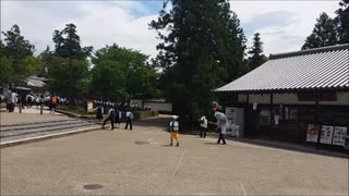 Todai ji Temple Nara Japan