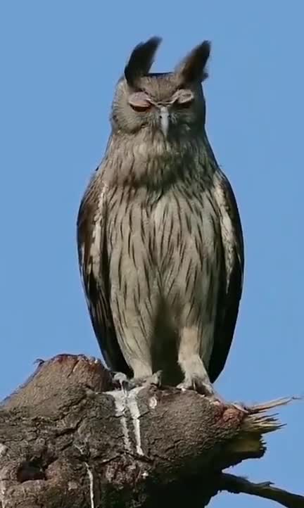 Amazing Look #UbertainmentFun