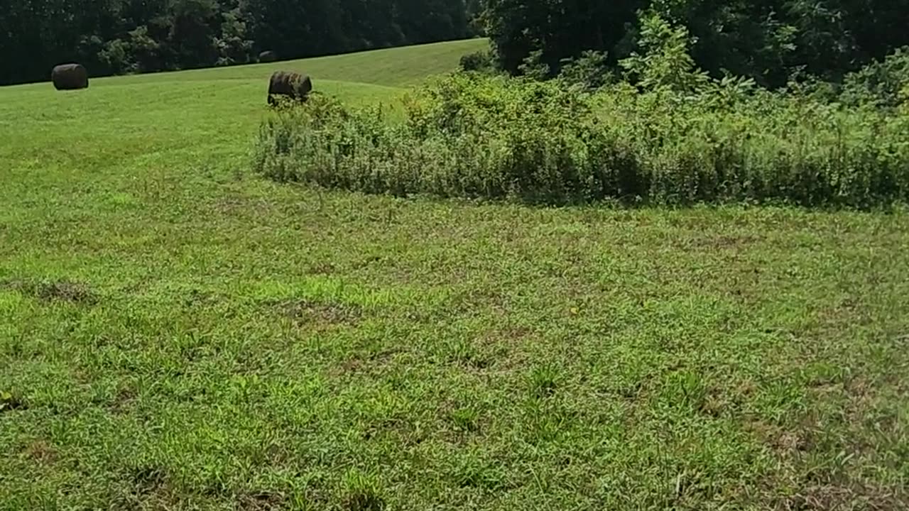 Took nephew out to shoot some of my guns