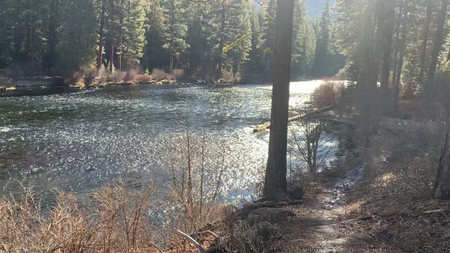 Enjoying the Beautiful Banks of Metolius River – Central Oregon – 4K