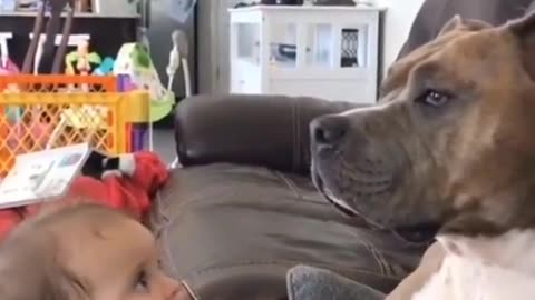 AWW Animals SOO Cute! Cute baby animals Videos Compilation Funniest and Cutest moment #shorts