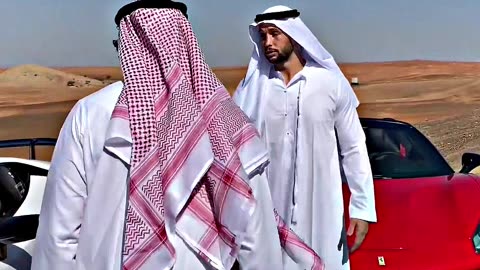 The TATE'S Go Sheikh Racing