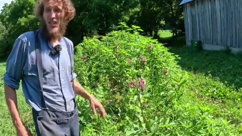 Living alone in Appalachia