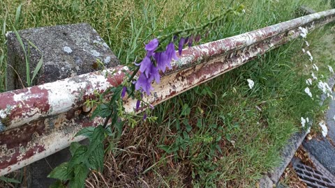 Klagovisorna 21 Juli 2020