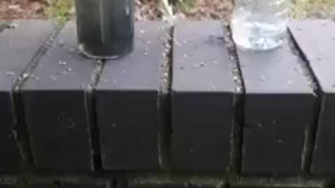 Water with/without poison
