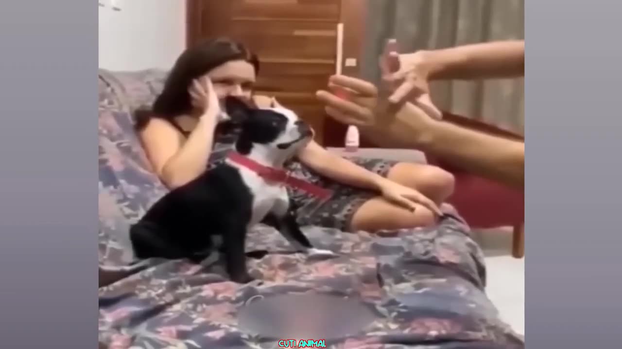 Funny Dog And Cat ππΆπ» Funniest Animals