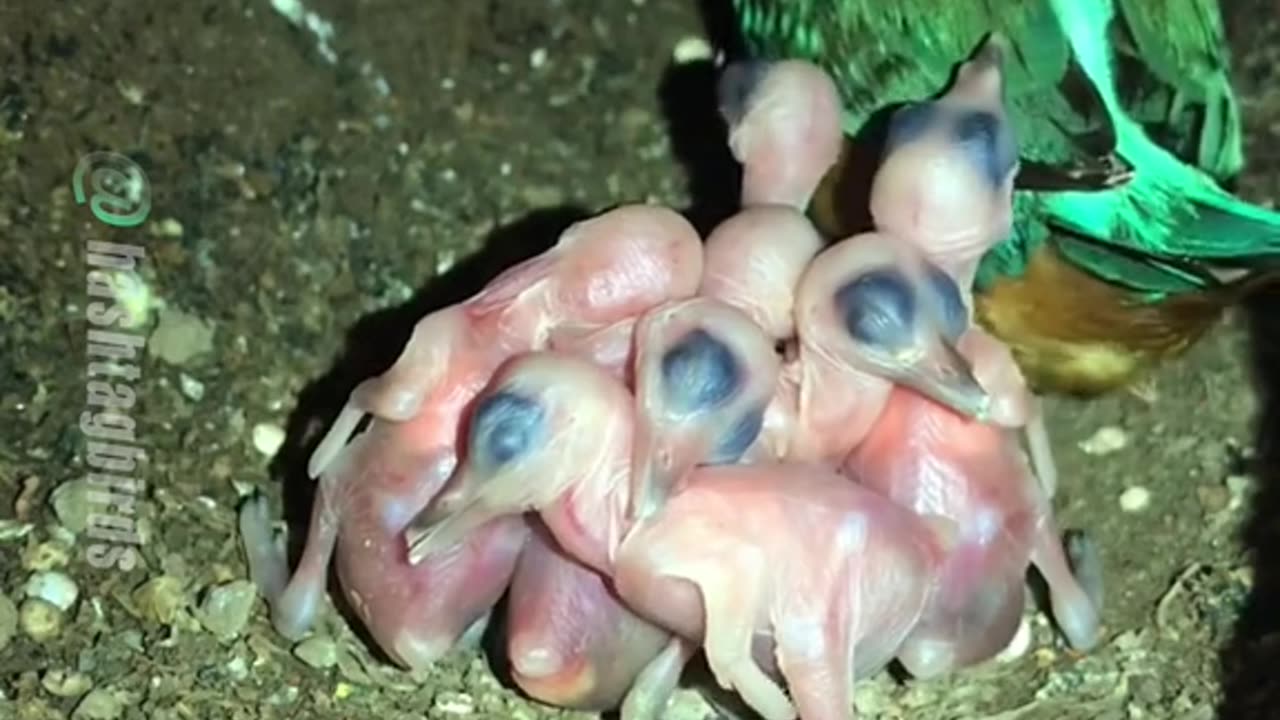 How much is a few changes to the one I will be