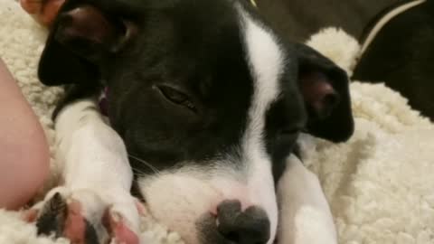 Fighting sleep