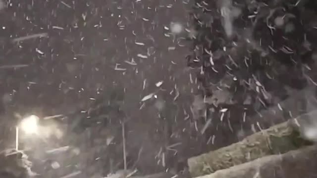 Driving on a snowy evening in Northern Ireland