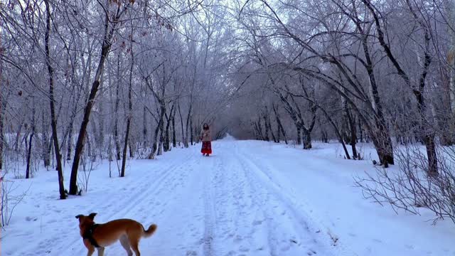 playful dogs during winter season Beauty