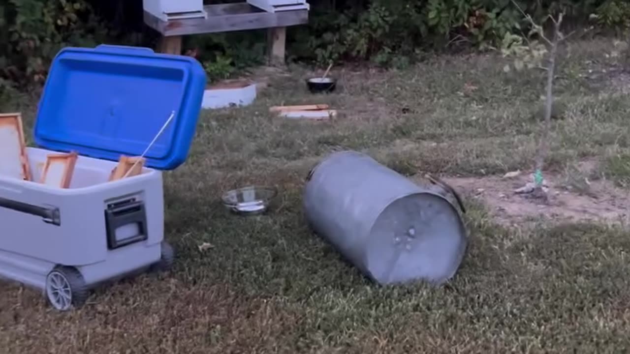 Harvesting Honey tip