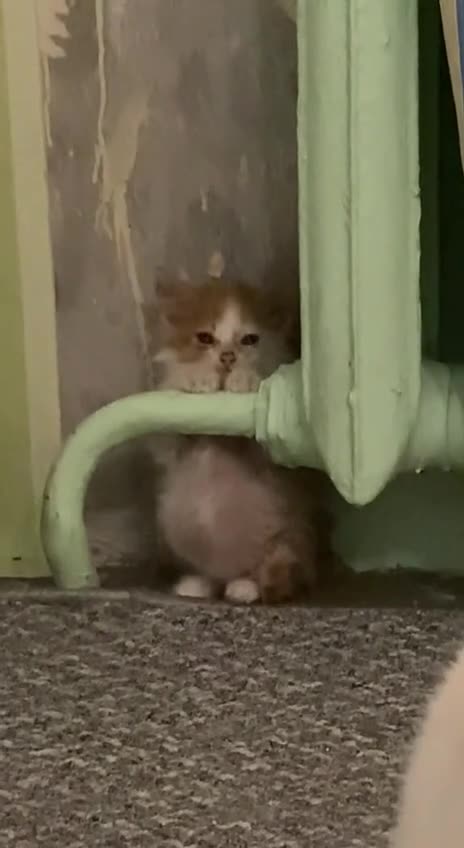 Getting close to the heat source 😊