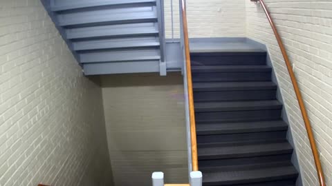 3880FHOB03Stair5_2021-01-06_05h20min00s543ms.mp4