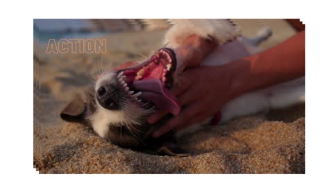 Adorable Love # humanity