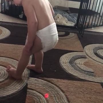 Baby can't catch laser light