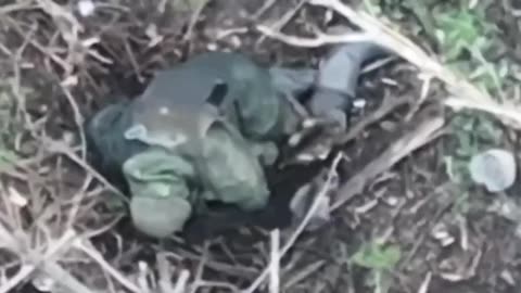 In Ukraine... Pussy Eats You.