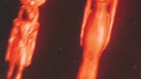 The Nine Watching Over Humanity