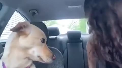 Dog LOVE YOU