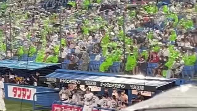 💎Japanese baseball crowds