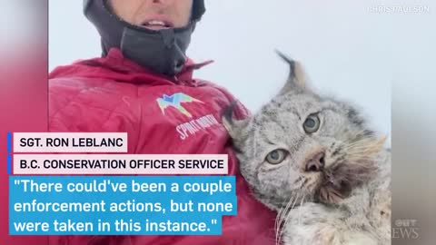 B.C. farmer lectures a lynx after it attacked his chicken coop