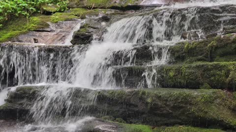 Stream Waterfall