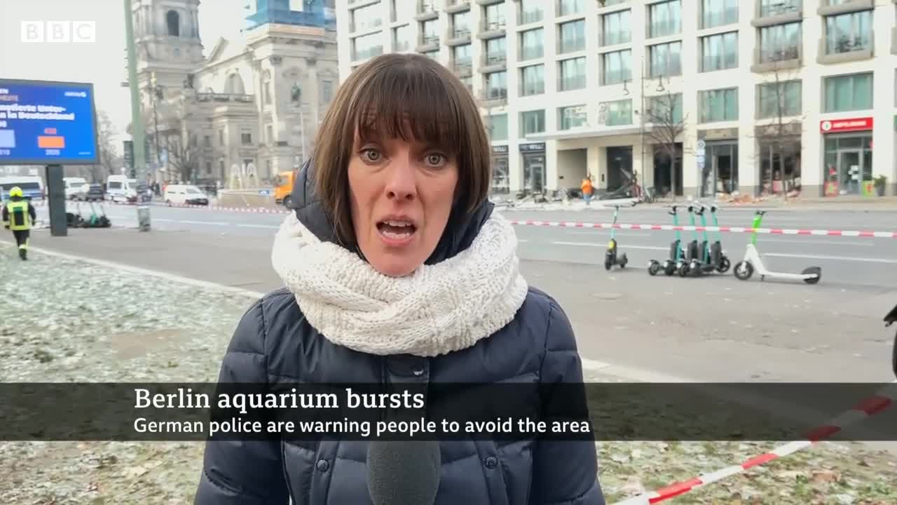 Giant Berlin hotel aquarium with 1,500 fish explodes - BBC News