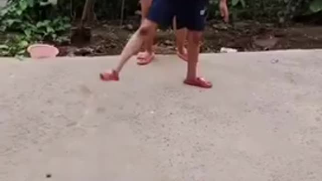 Funny videos