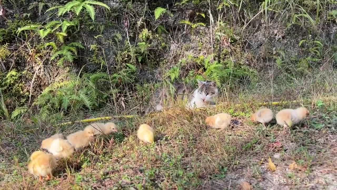 Feed me! Hurry up and feed me!