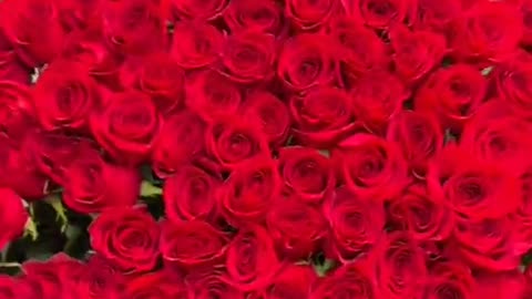 Best surprise for someone special 😍