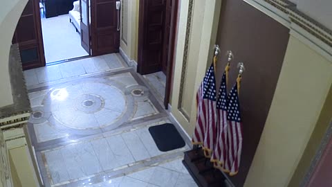 0931USCH02H230_2021-01-06_10h00min00s943ms.mp4