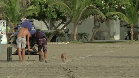 Fly Board Colombia, un nuevo deporte extremo para realizar en Cartagena.