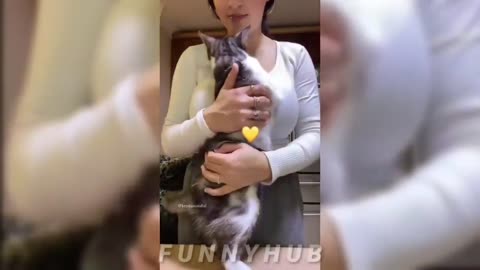 Funny Animals 2022 😂 - Funniest Cats And Dogs Video