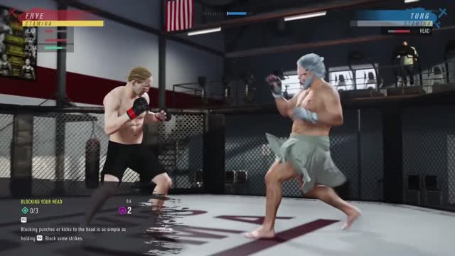 The UFC 4 Experience