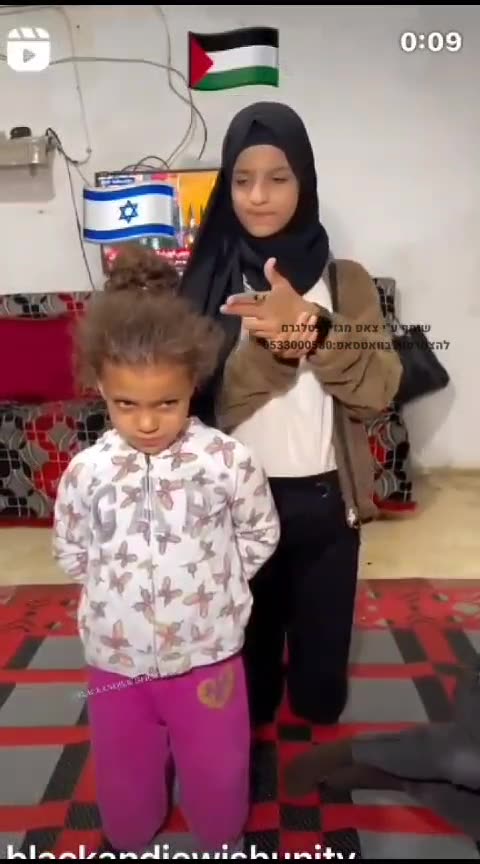 Palestinian education