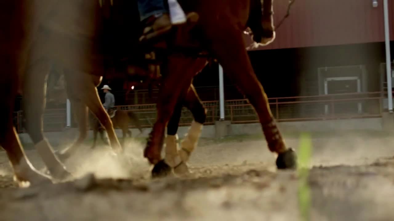 Rodeo Cowboys & Horses, Texas