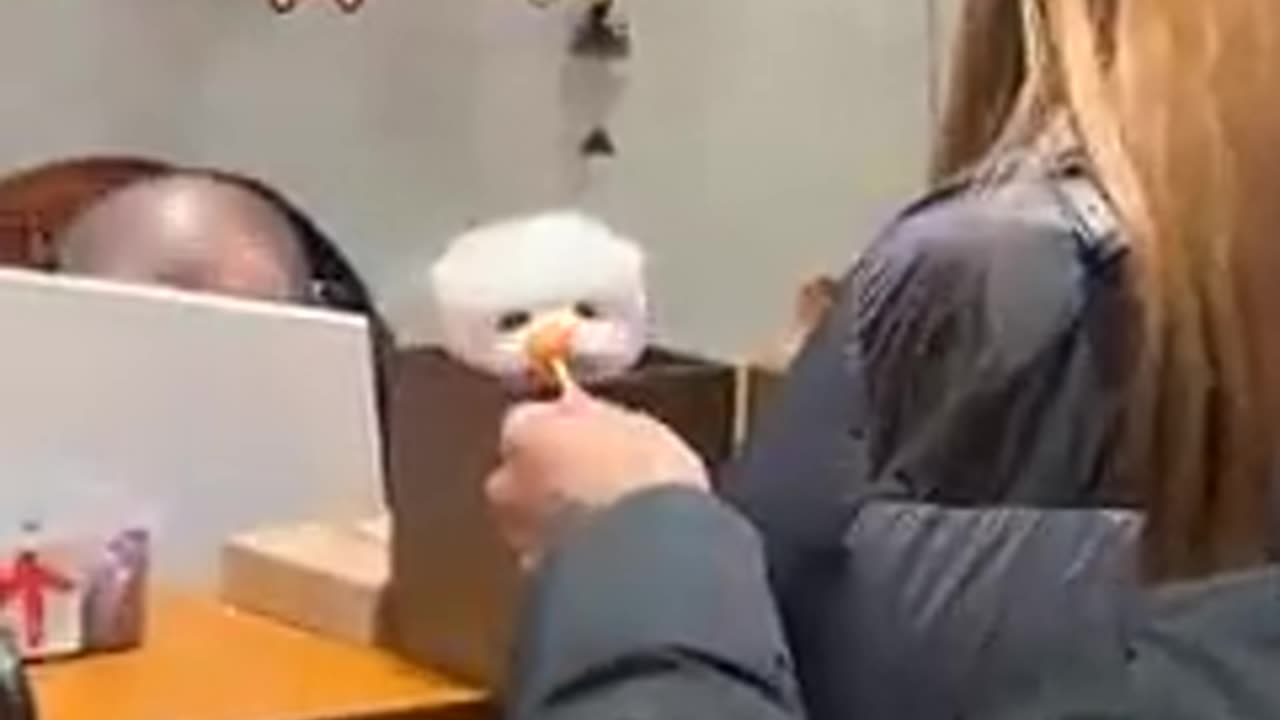 Funny video ππ₯°βΊοΈ