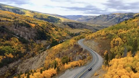 Enchanting Autumn Forests with Beautiful Piano Music