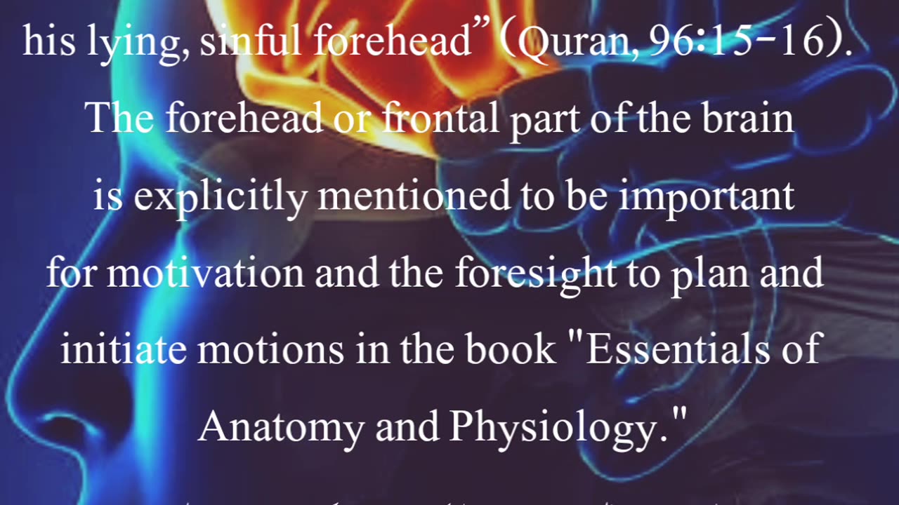Islam and science