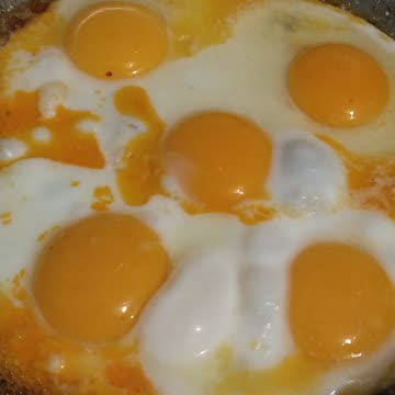 5 fried eggs, yummy and scrumptious | Carnivore Club