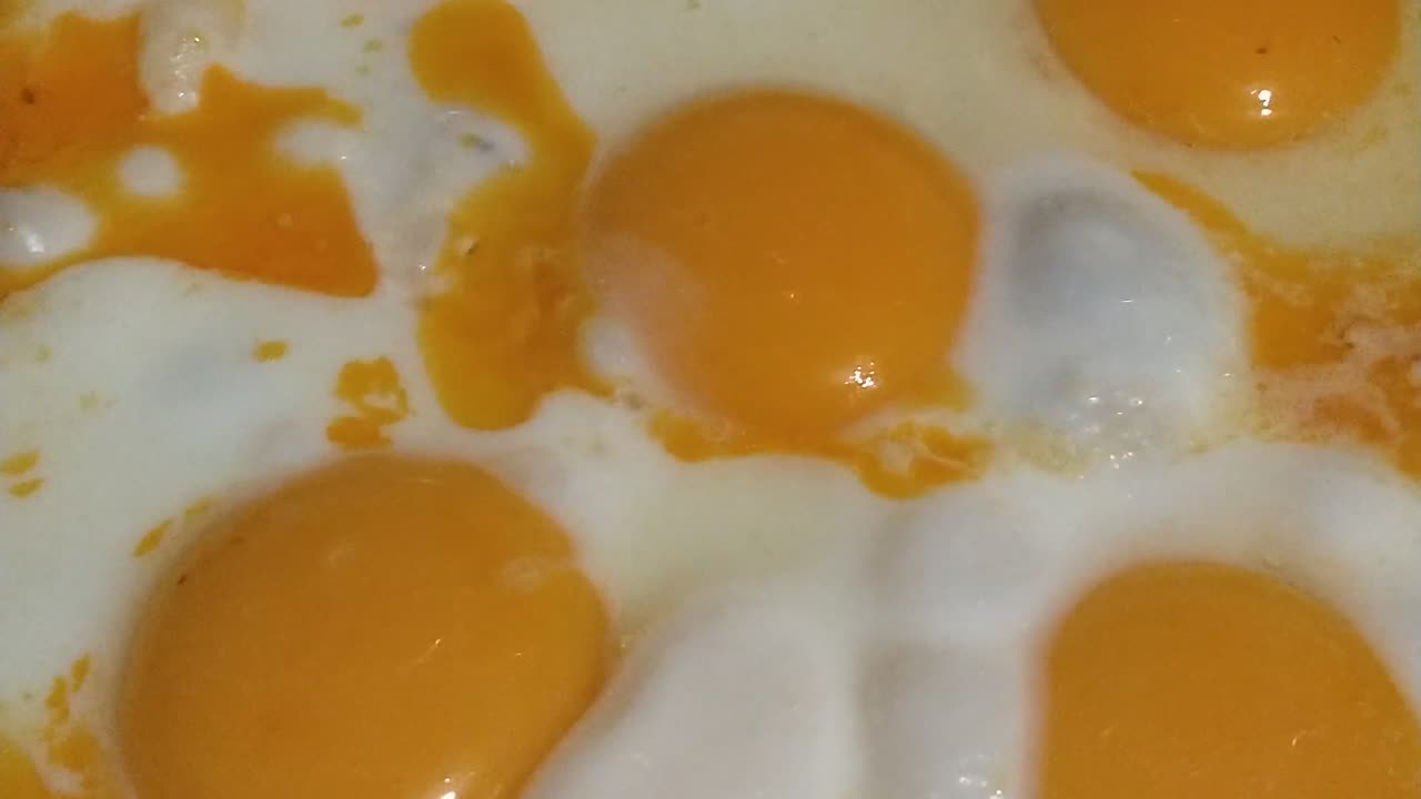 5 fried eggs, yummy and scrumptious | Carnivore Club