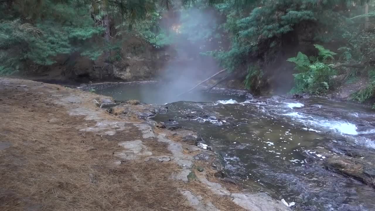 The brain-eating amoebas of Kerosene Creek