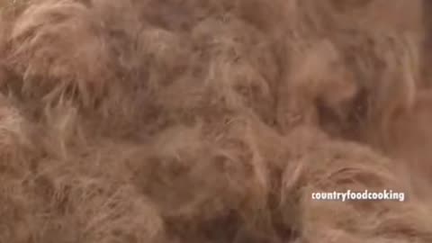 What is gotten from coconut peal is unimaginable