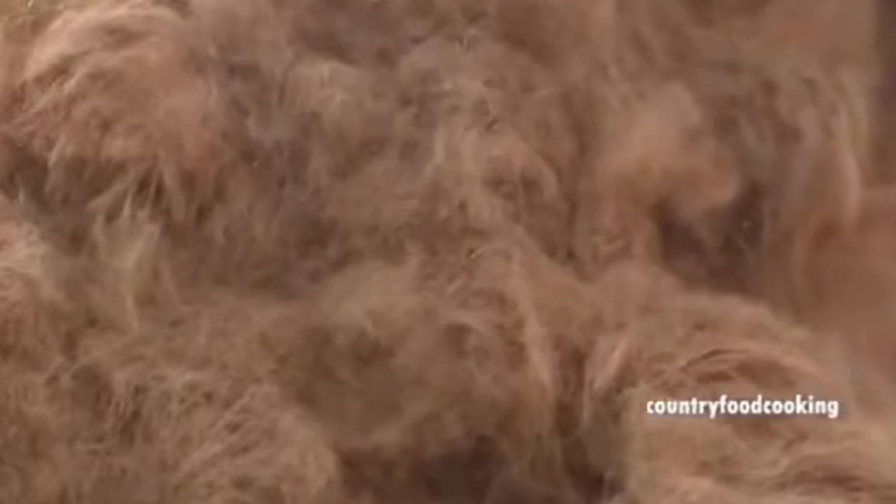 What is gotten from coconut peal is unimaginable