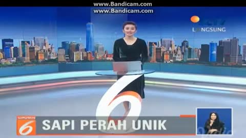 Cows Listen To Guitar