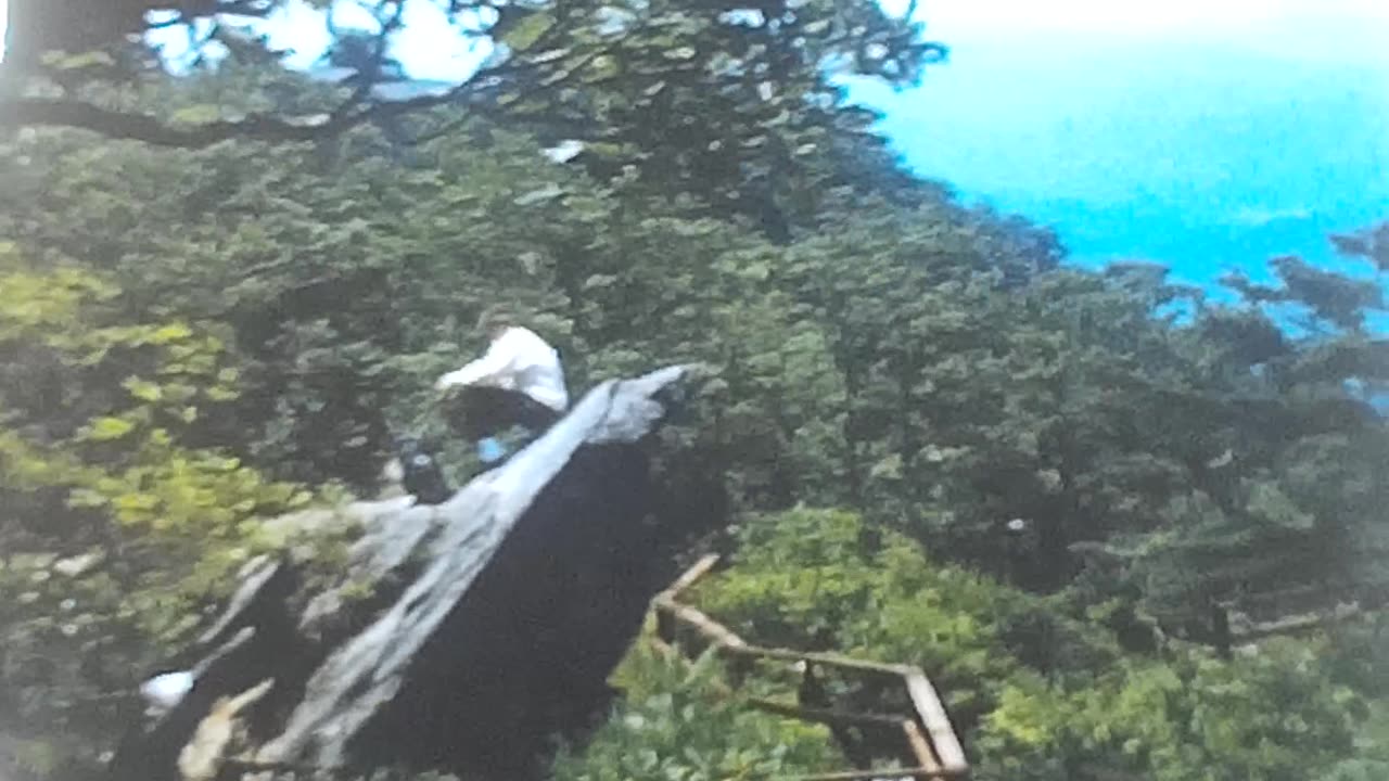 1970 Great Grandmother Carrier, Uncle Sid, Laurel Falls, Gatlinburg.