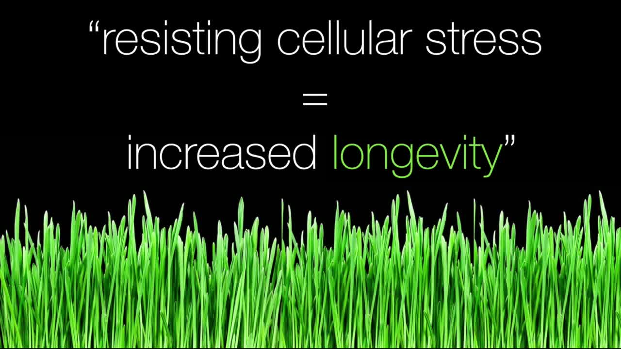 Lecture, Aging Is Not Inevitable Are Stem Cells the Fountain of Youth