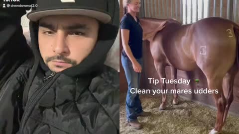 cleaning utters