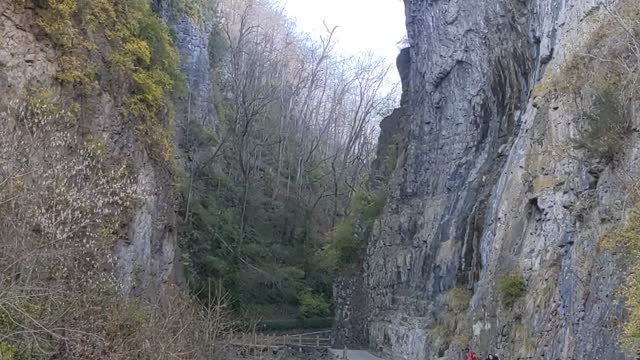Natural Bridge State Park